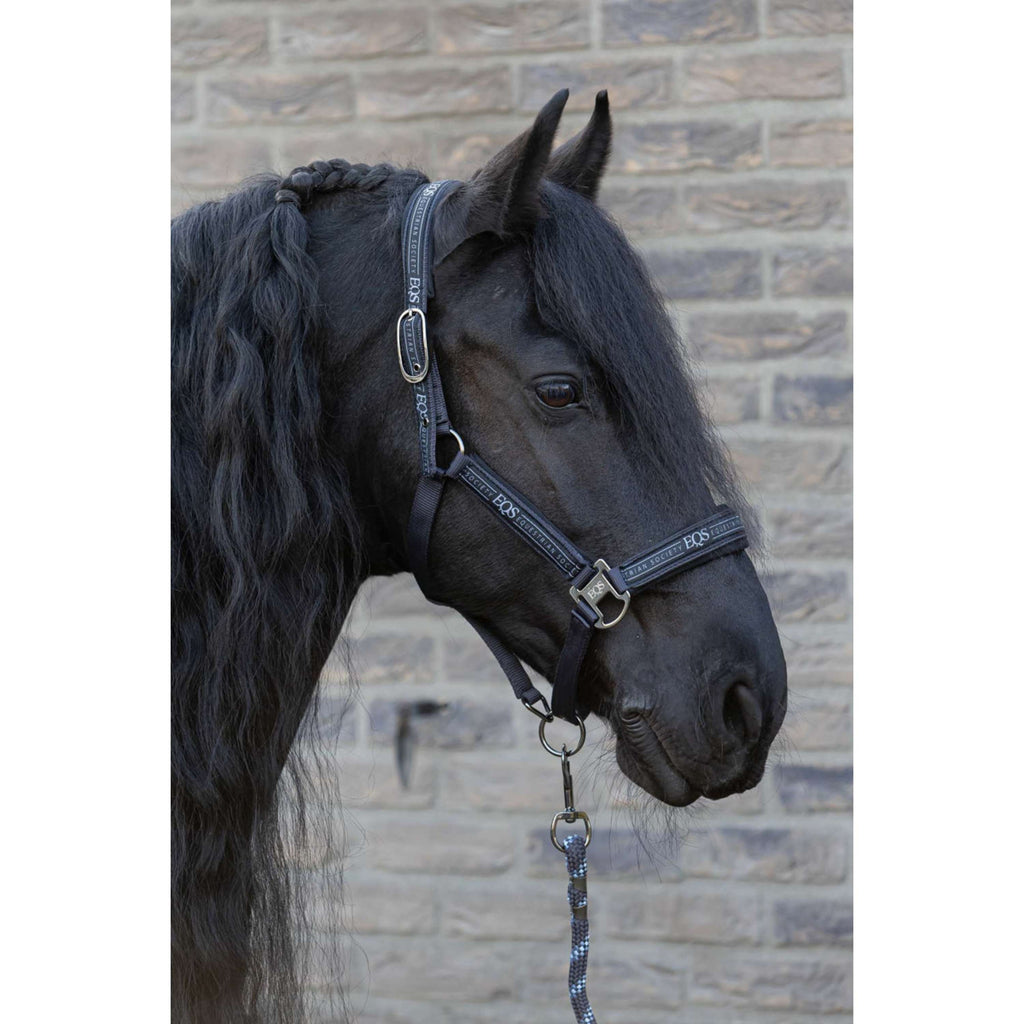 Harry's Horse Halsterset EQS Black-Sand