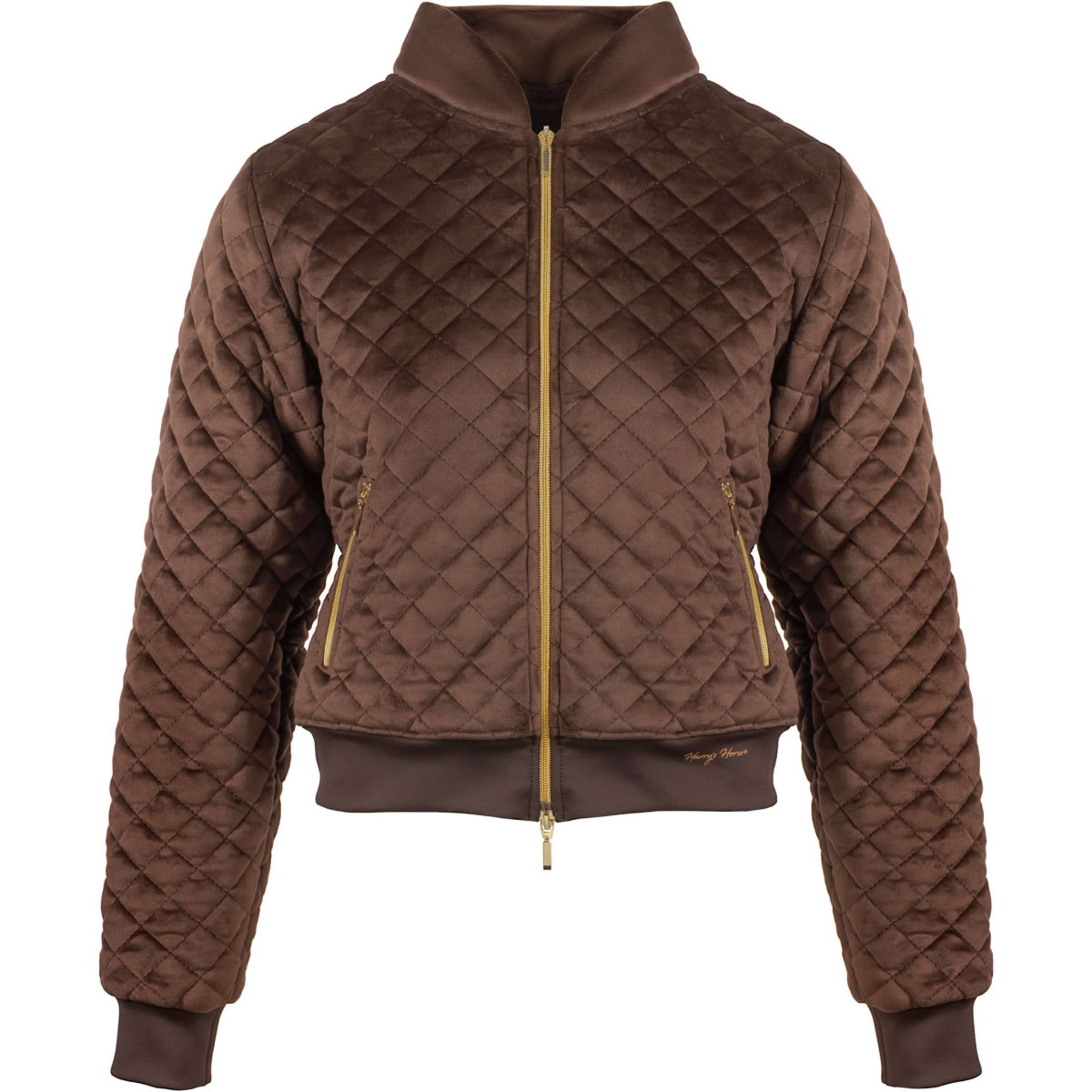 Harry's Horse Bomberjack Classy Bracken