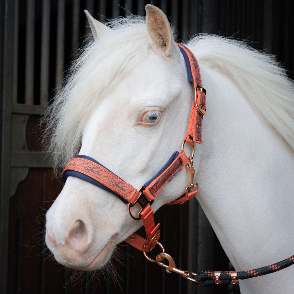 Harry's Horse Halsterset LouLou Crabapple