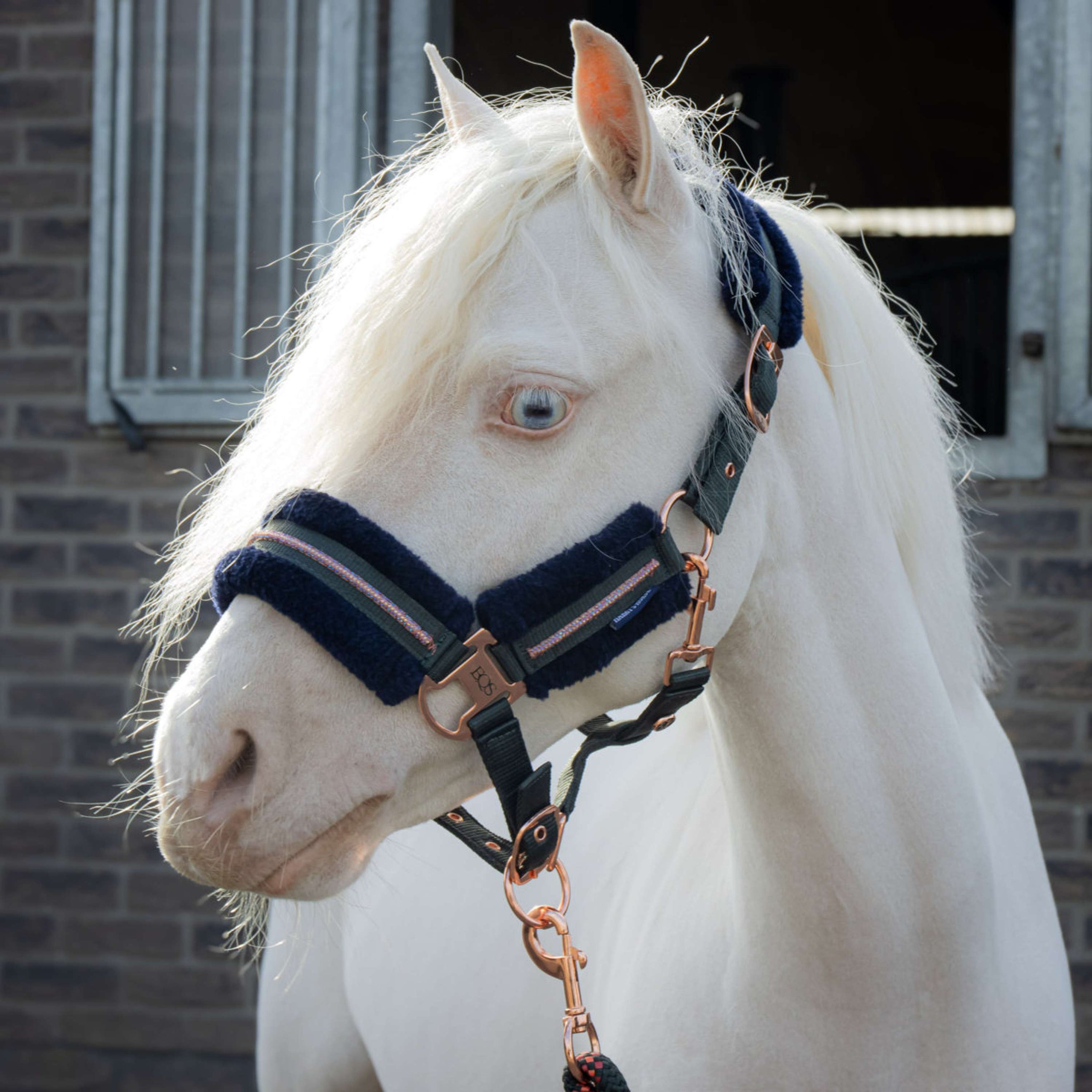 Harry's Horse Halsterset Soft Duffel Bag