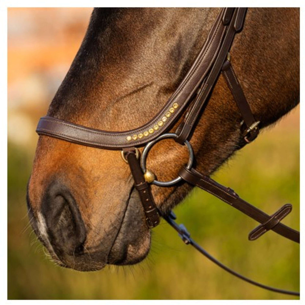 Harry's Horse Hoofdstel Anatomic Gold Bruin