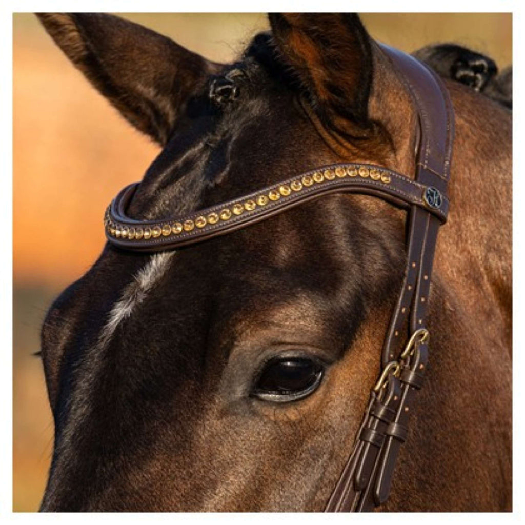 Harry's Horse Hoofdstel Anatomic Gold Bruin