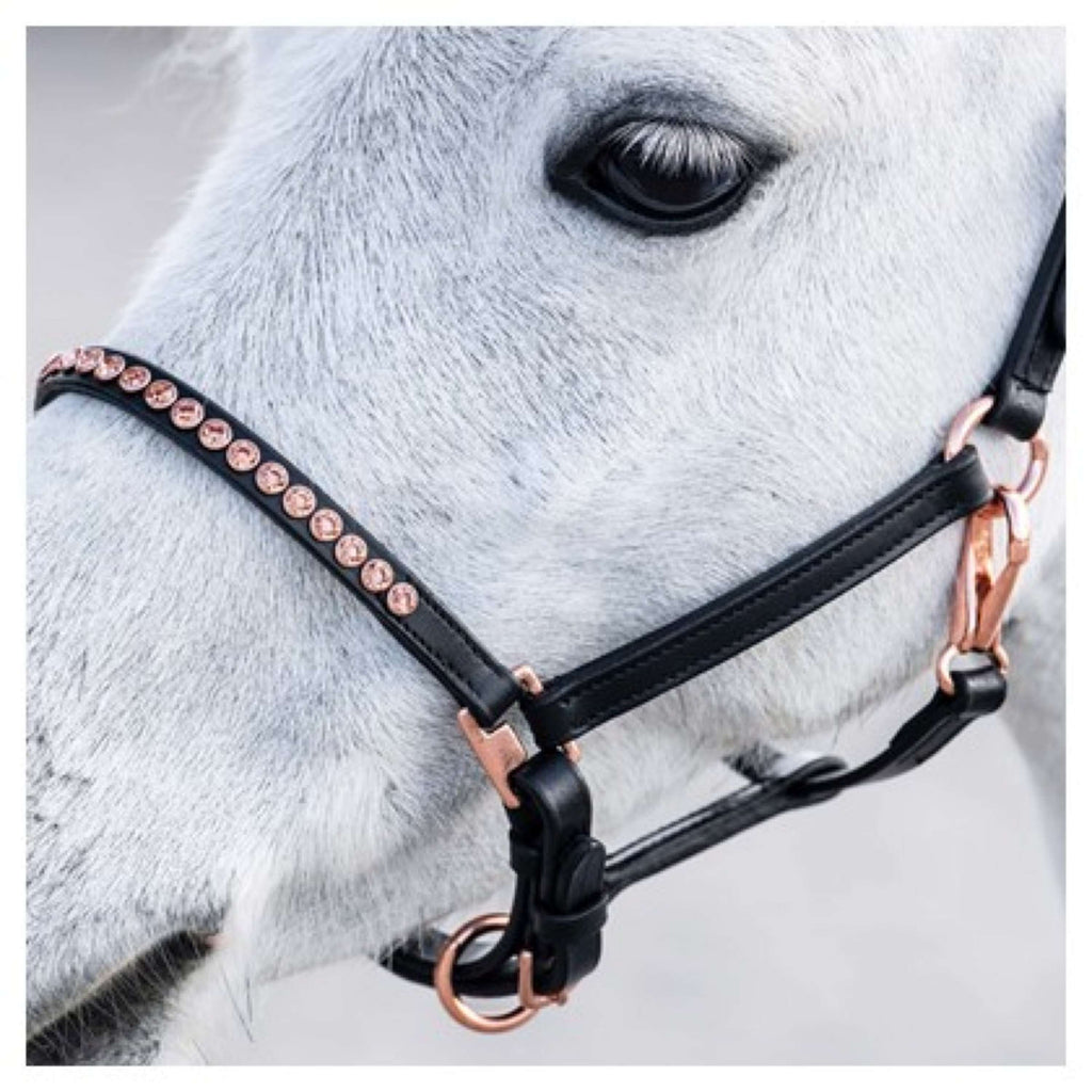 Harry's Horse Halster Crystal Zwart/Roségoud