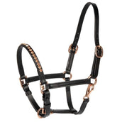 Harry's Horse Halster Crystal Pony/Veulen Zwart/Roségoud
