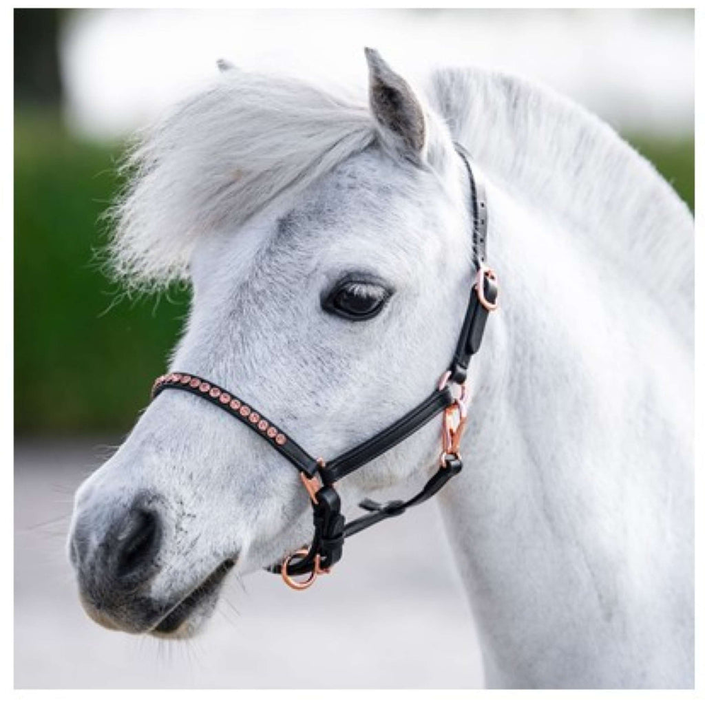 Harry's Horse Halster Crystal Zwart/Roségoud