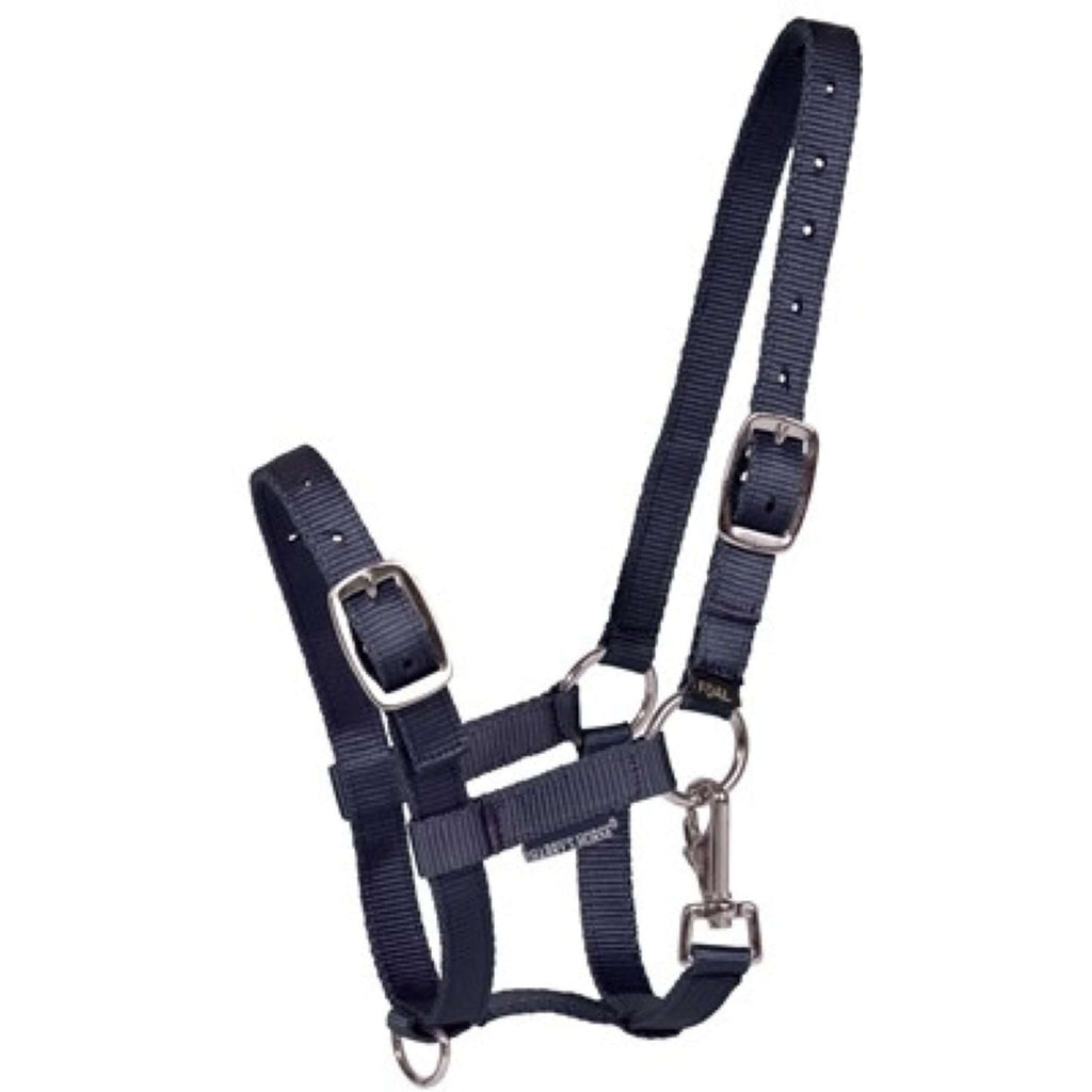 Harry's Horse Veulenhalster Navy