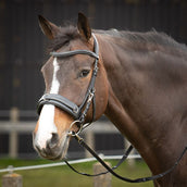 Harry's Horse Kaptoom Hoofdstel Comfort Leder Zwart