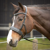 Harry's Horse Kaptoom Hoofdstel Comfort Leder Zwart