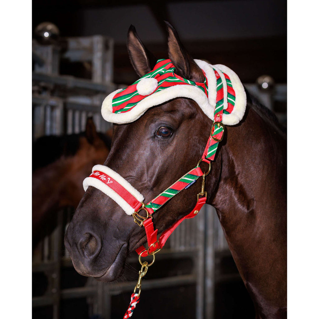 Harry's Horse Halsterset en Muts Christmas '26 Rood