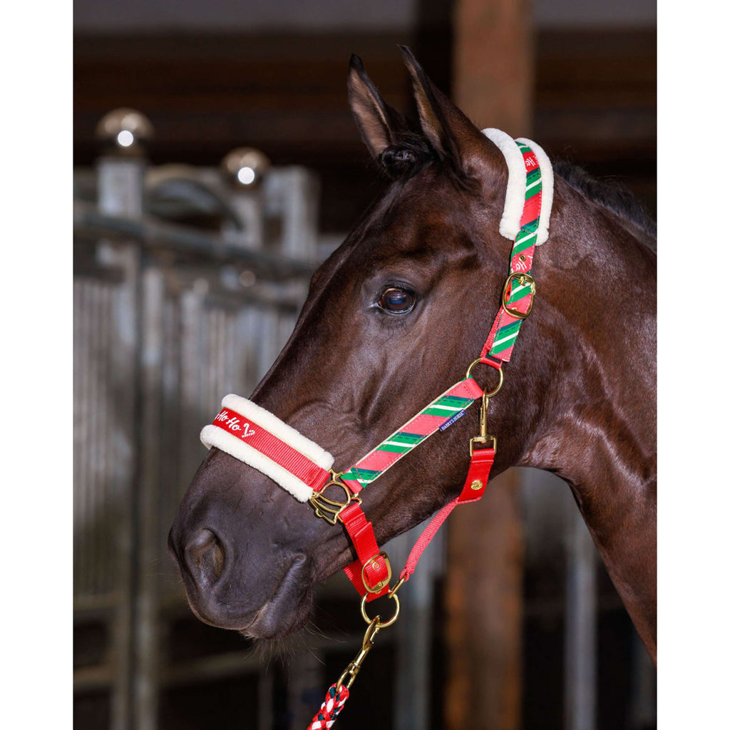 Harry's Horse Halsterset en Muts Christmas '26 Rood