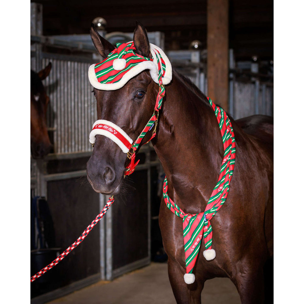 Harry's Horse Halsterset en Muts Christmas '26 Rood