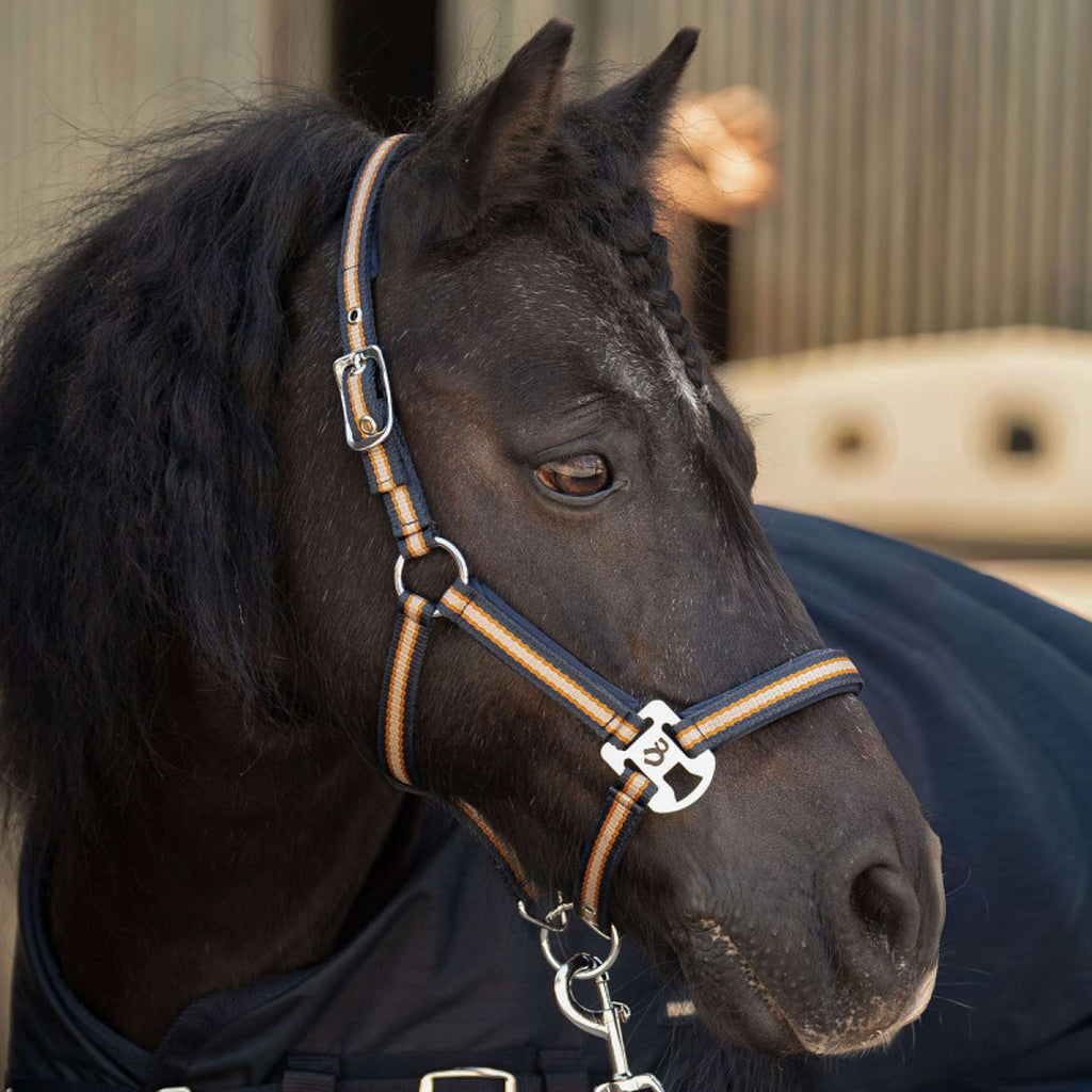 Harry's Horse Halsterset STOUT! Maverick Total Eclipse