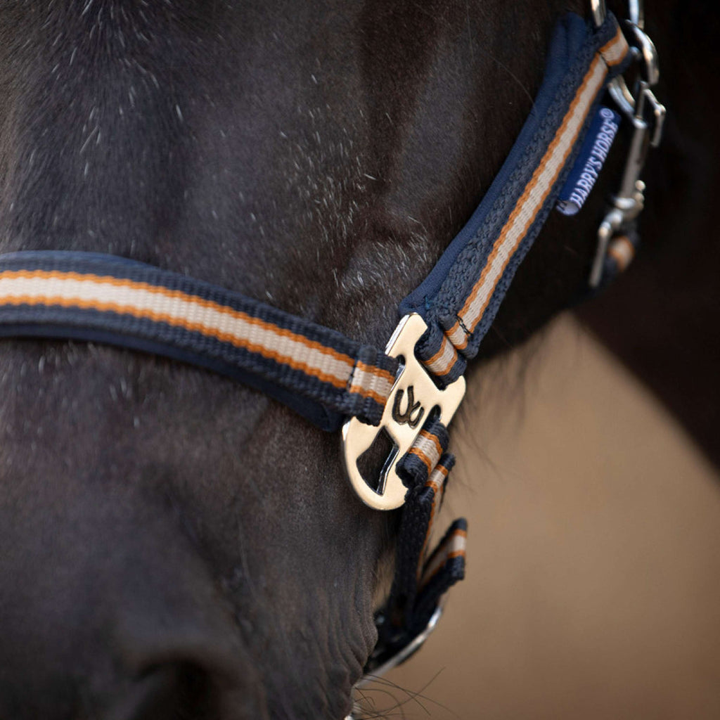 Harry's Horse Halsterset STOUT! Maverick Total Eclipse