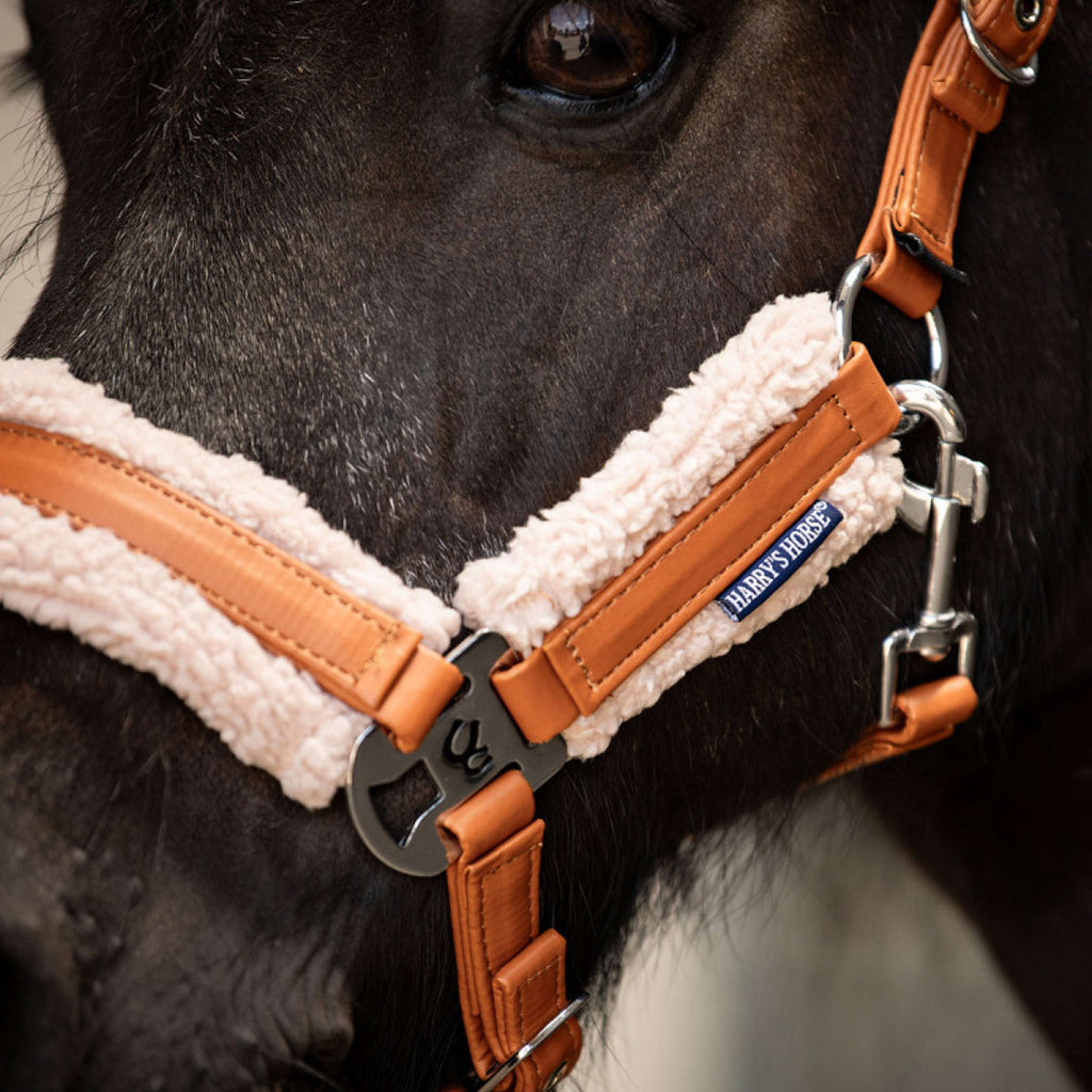Harry's Horse Halsterset STOUT! Maverick Bran