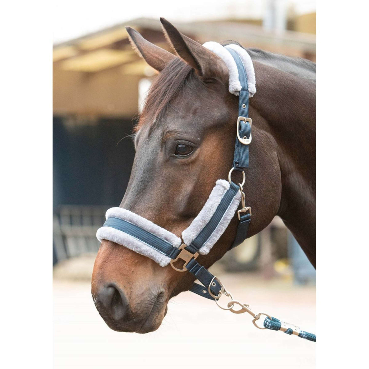 Harry's Horse Halsterset Just Ride Retro Soft Navy