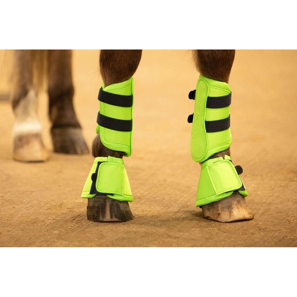 Harry's Horse Springschoenen STOUT! Lime Lime