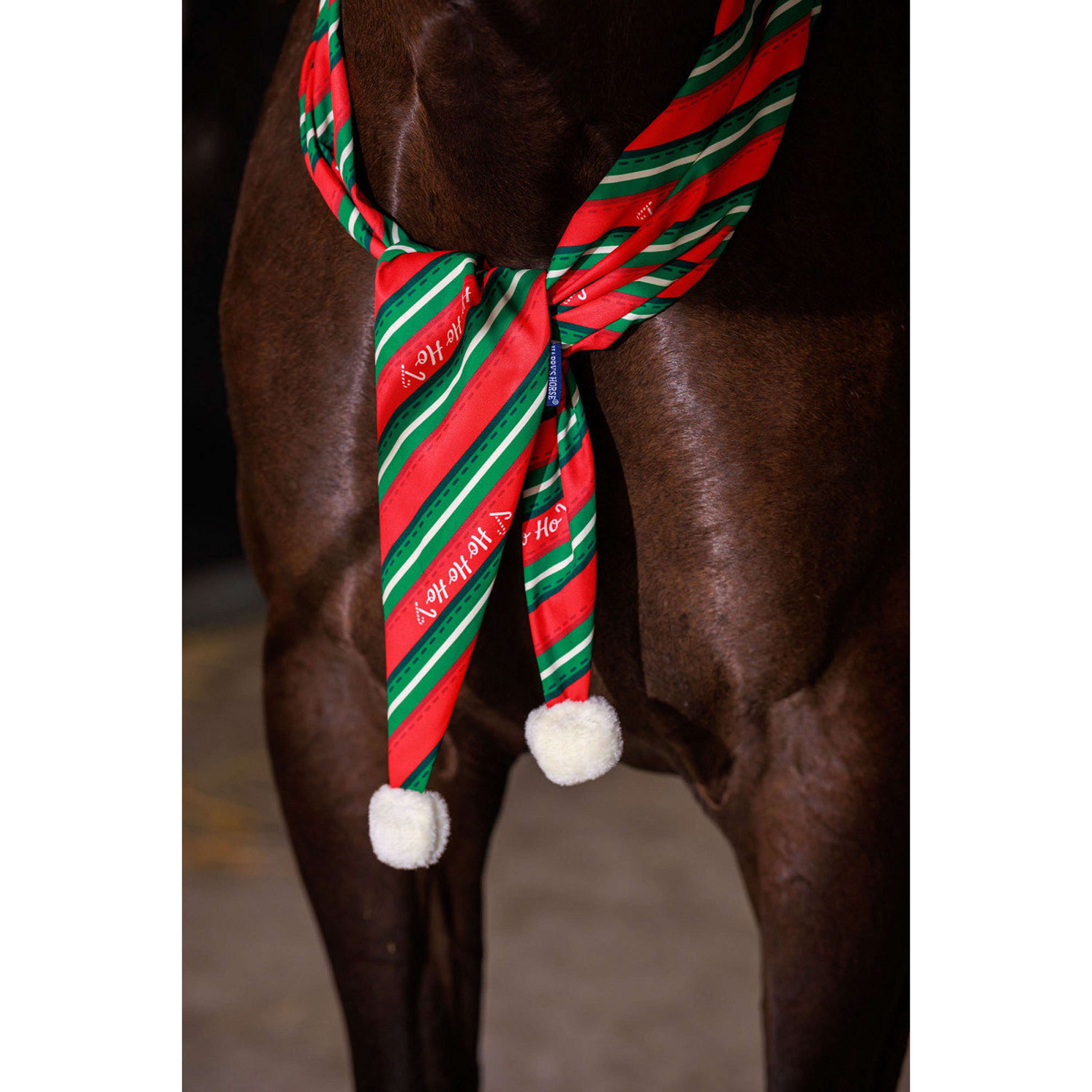 Harry's Horse Sjaal Christmas '26 Rood