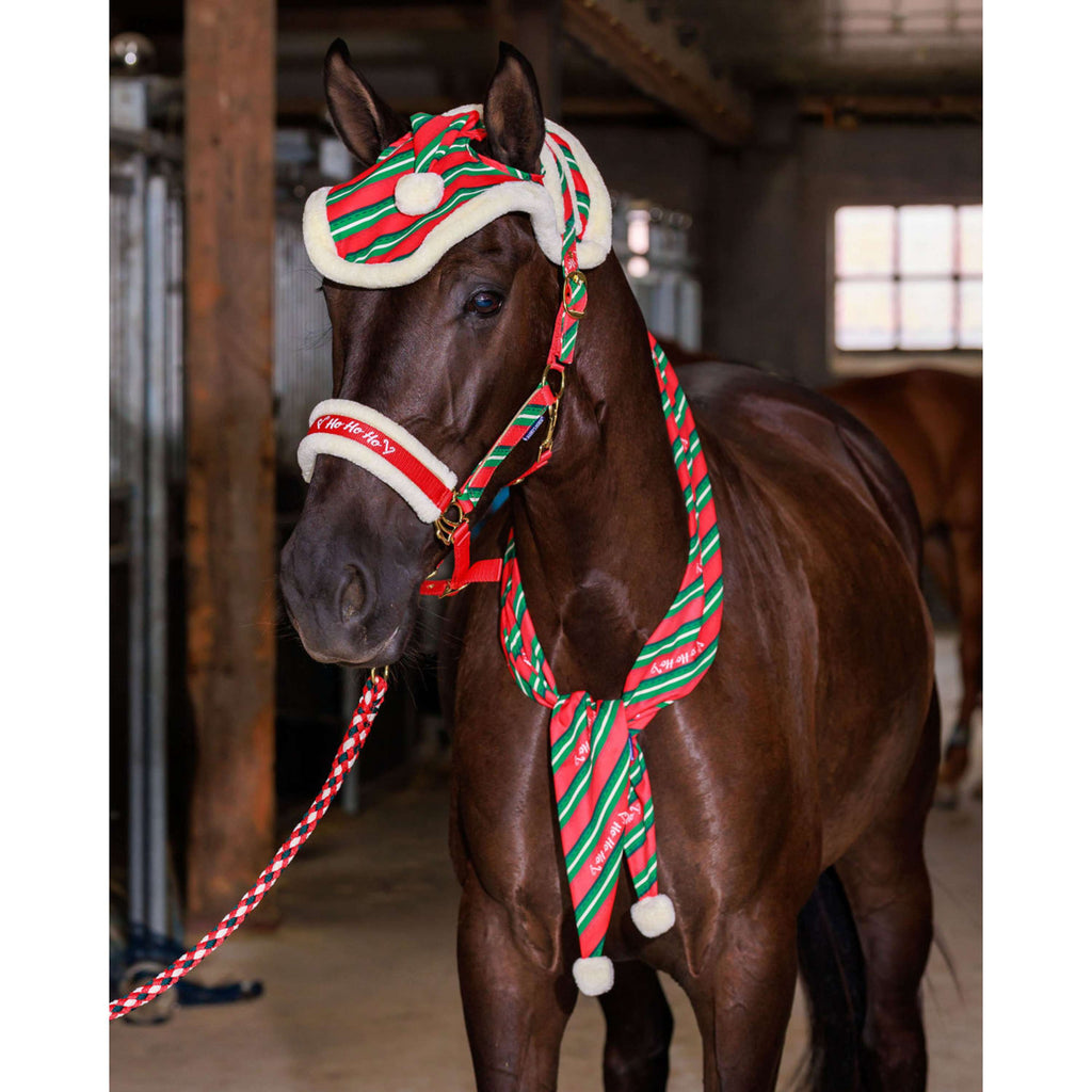 Harry's Horse Sjaal Christmas '26 Rood