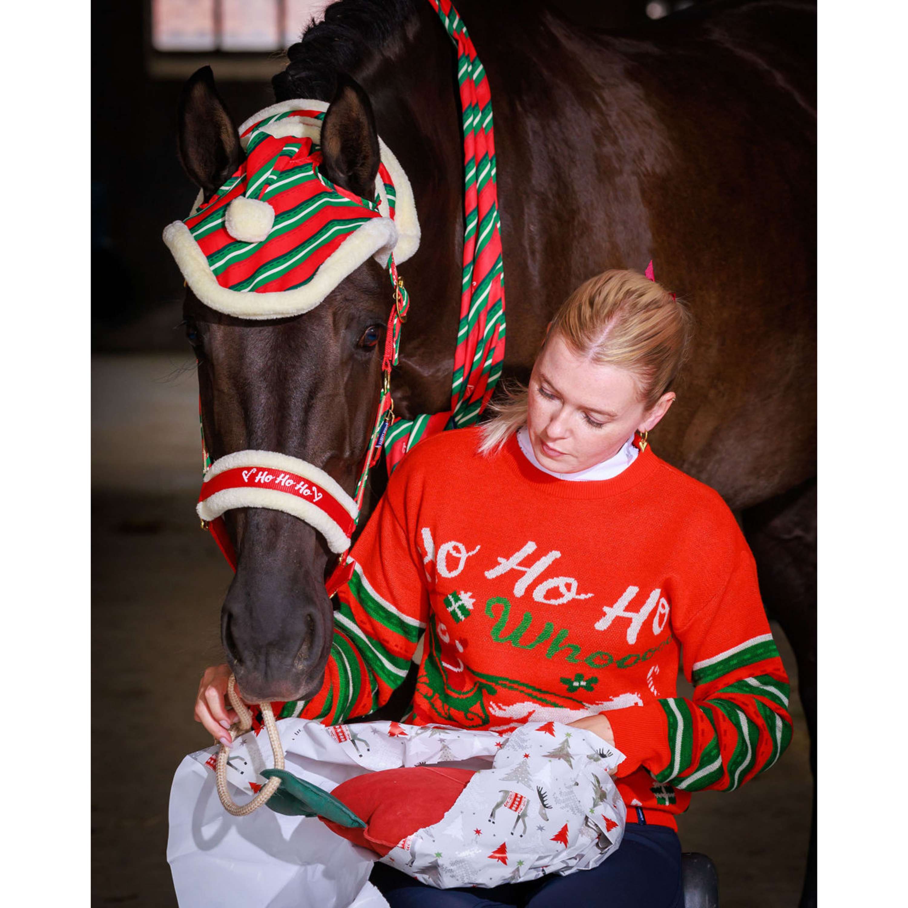 Harry's Horse Sjaal Christmas '26 Rood