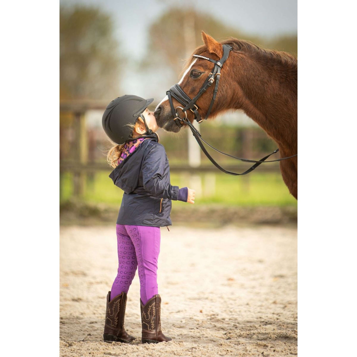 Harry's Horse Jas Loulou Jule Eclipse