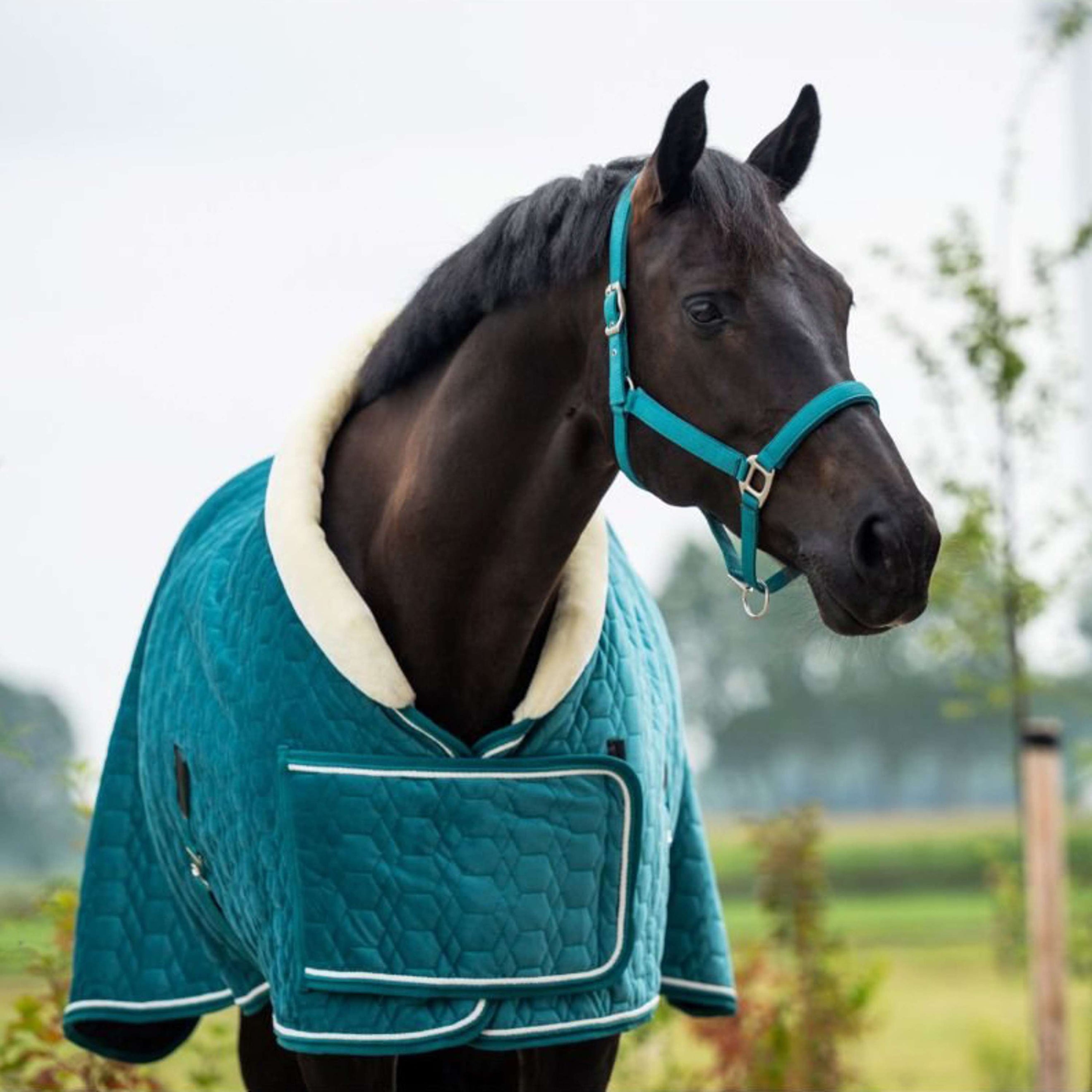 HB Showtime Showdeken Tropical Smaragd Green HB Showtime Showdeken Tropical Smaragd Green