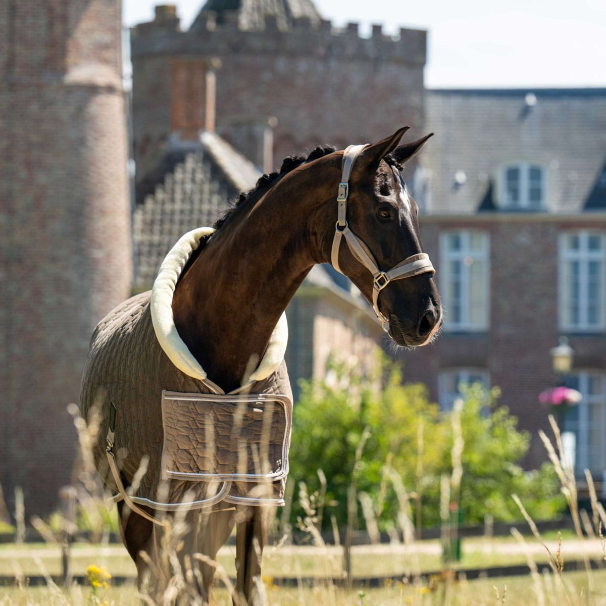 HB Ruitersport Showdeken Special Peach Taupe