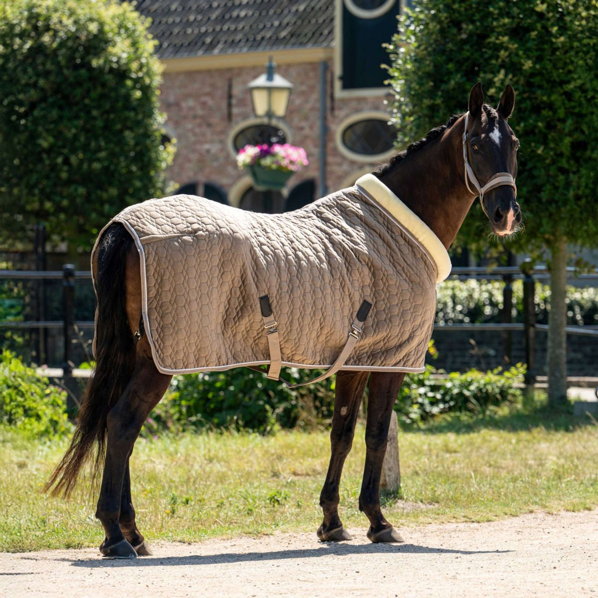 HB Ruitersport Showdeken Special Peach Taupe