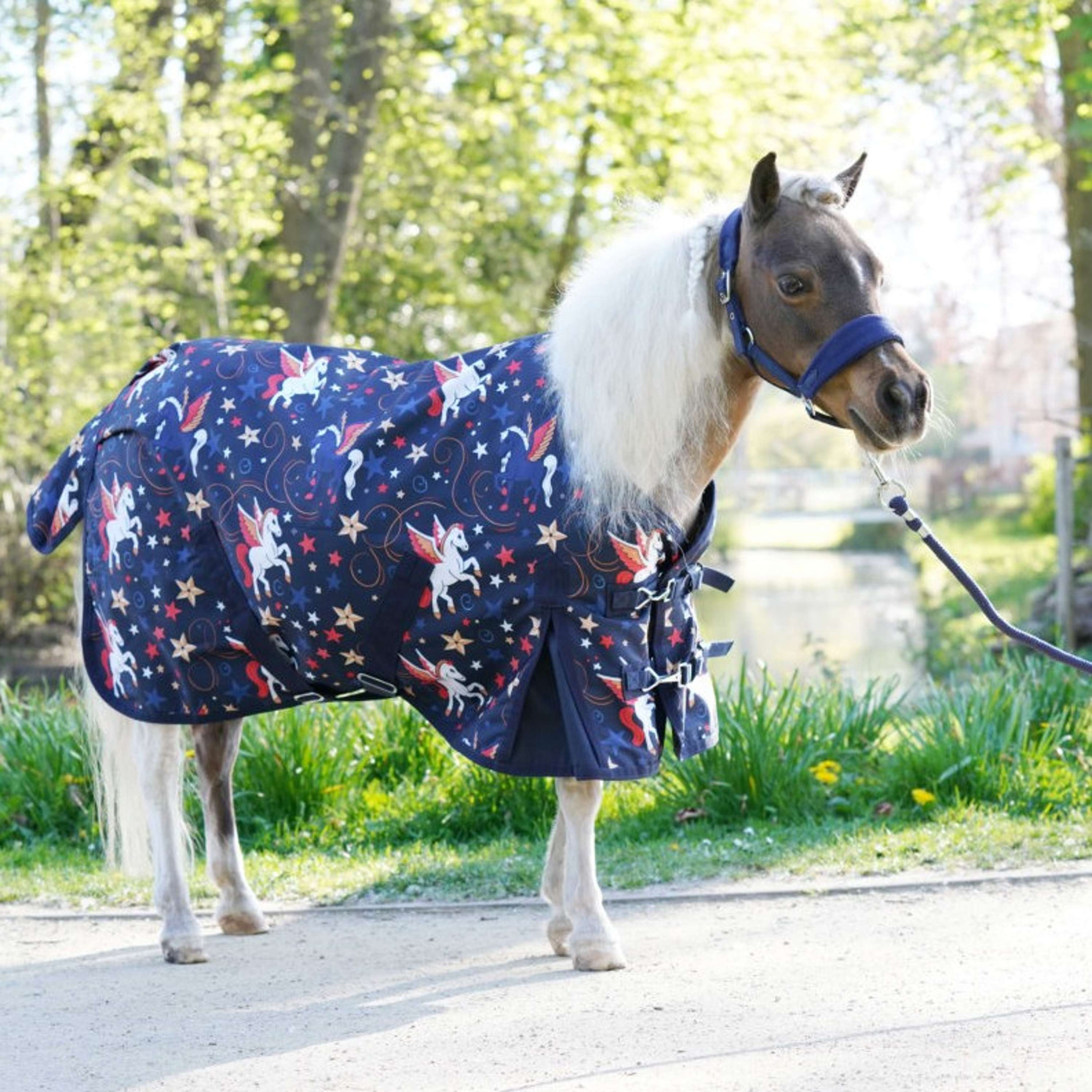 HB Outdoordeken Little Sizes Navy Flying Horse