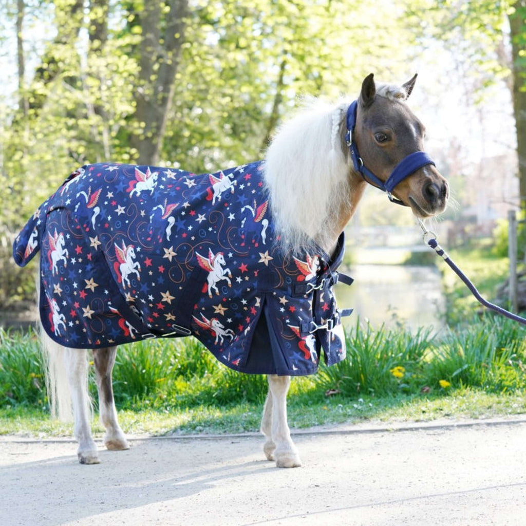 HB Outdoordeken Little Sizes navy flying horse