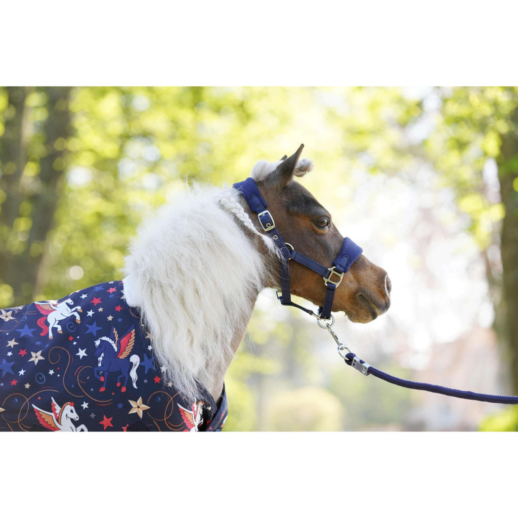 HB Outdoordeken Little Sizes navy flying horse