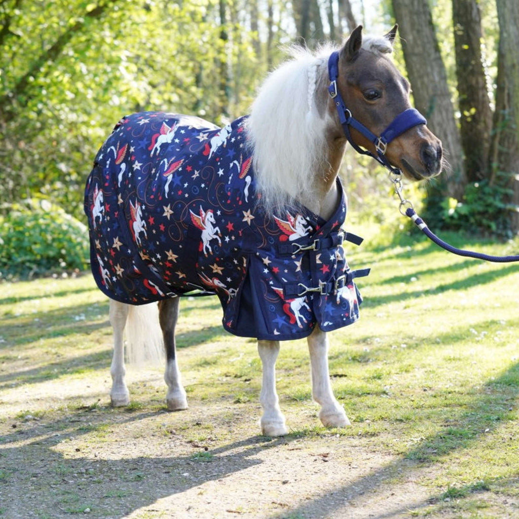 HB Outdoordeken Little Sizes navy flying horse