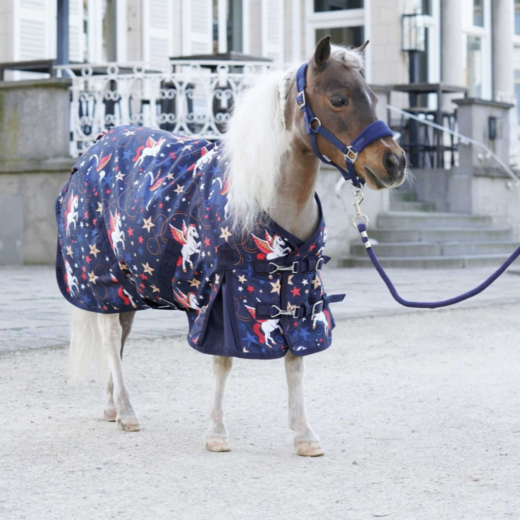 HB Outdoordeken Little Sizes navy flying horse