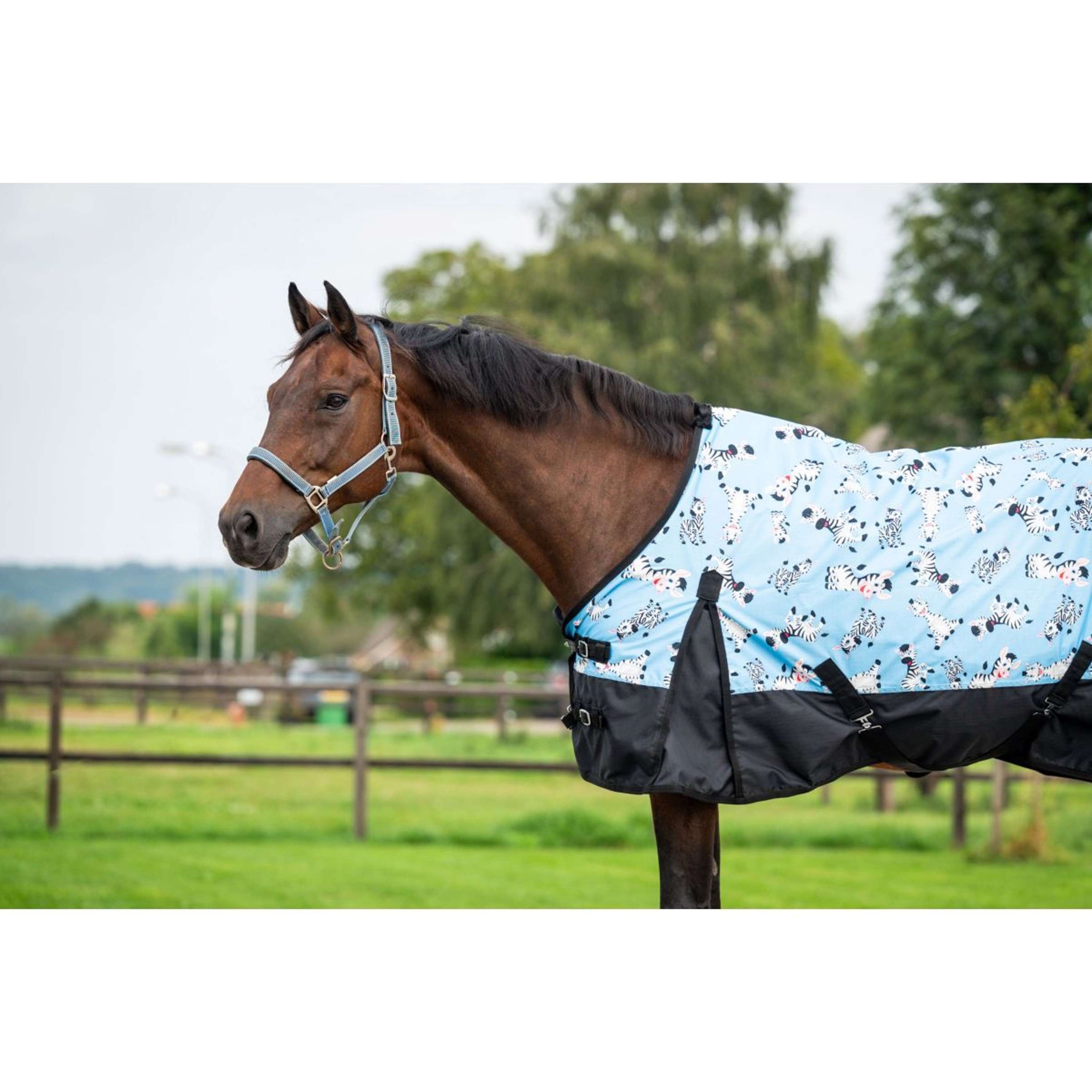 HB Outdoordeken Mr Squeez 200g Lichtblauw HB Outdoordeken Mr Squeez 200g Lichtblauw