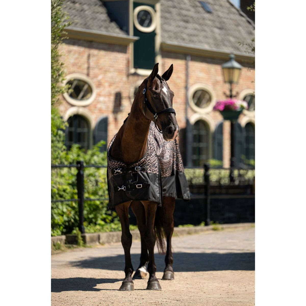 HB Outdoordeken Leopard 0g Luipaard