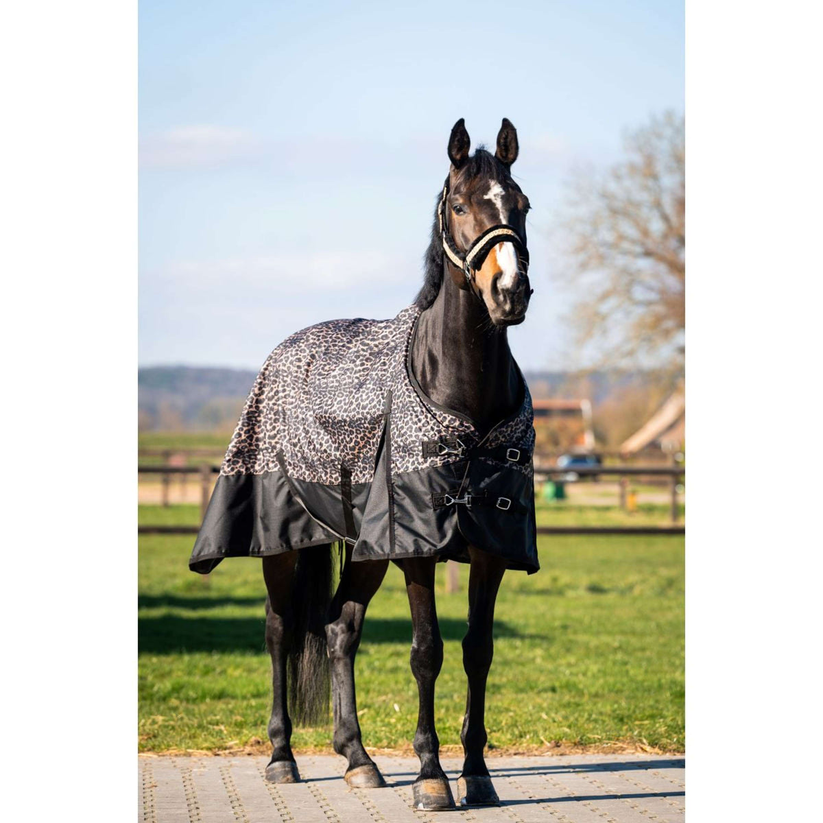 HB Outdoordeken Leopard 0g Luipaard