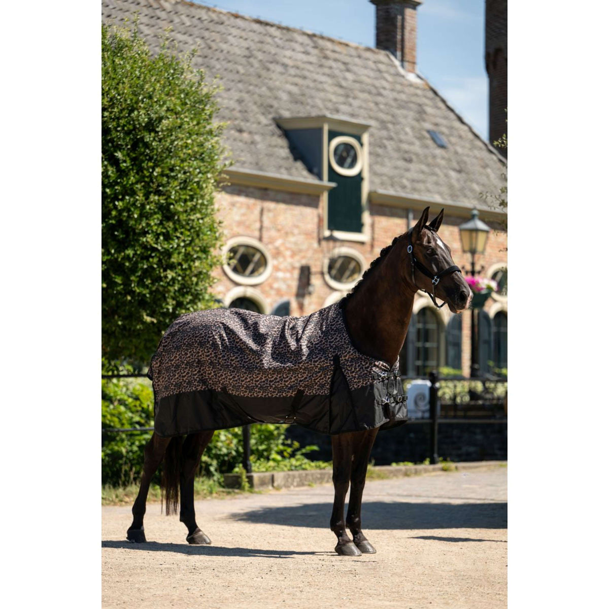 HB Outdoordeken Leopard 0g Luipaard