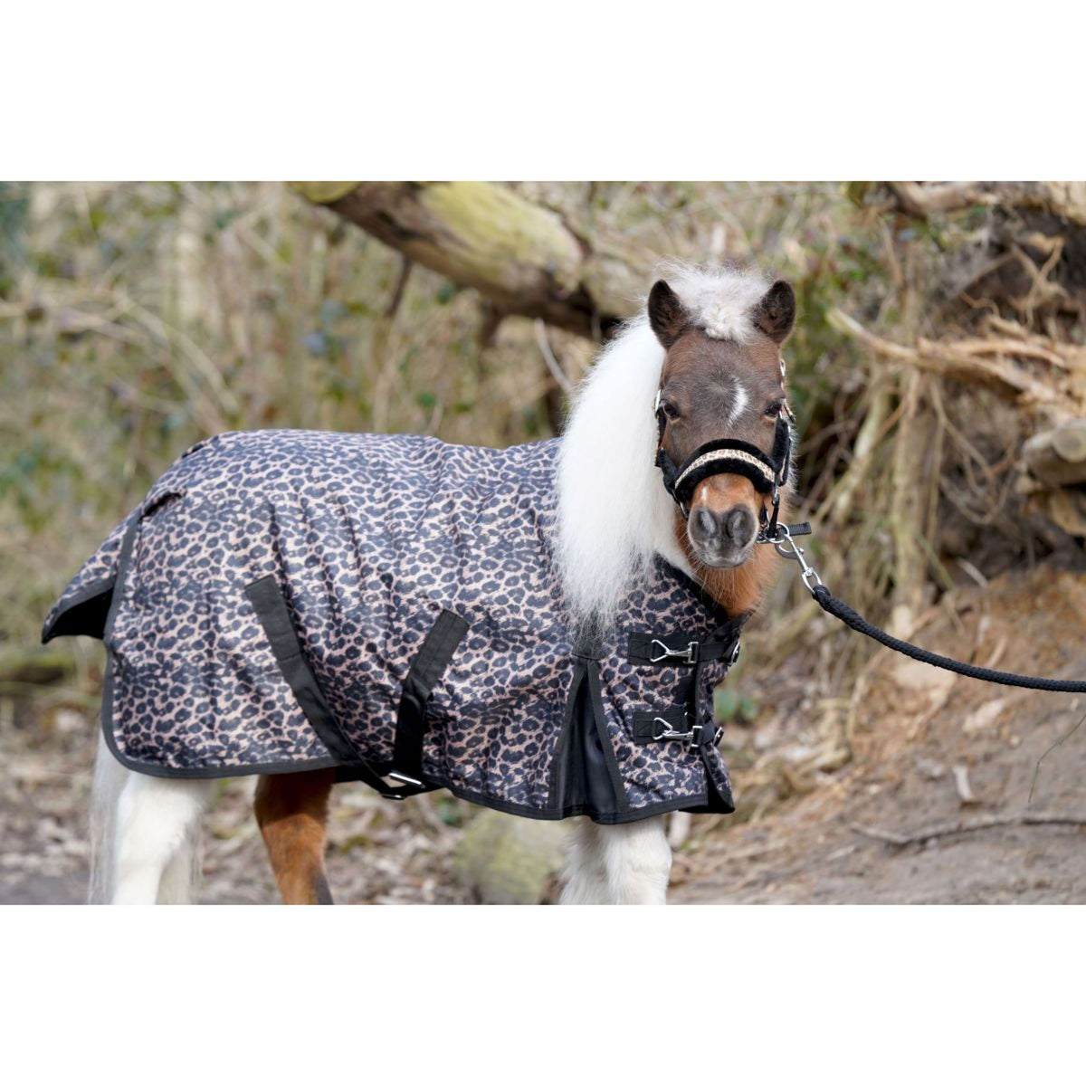 HB Outdoordeken Leopard Pony 0g Luipaard
