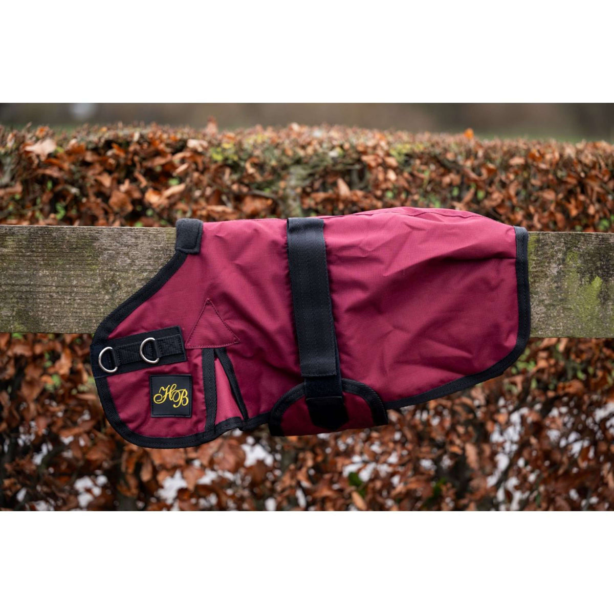 HB Veulendeken Ukki Bordeaux