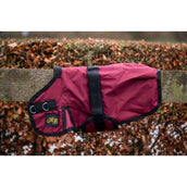 HB Veulendeken Ukki Bordeaux