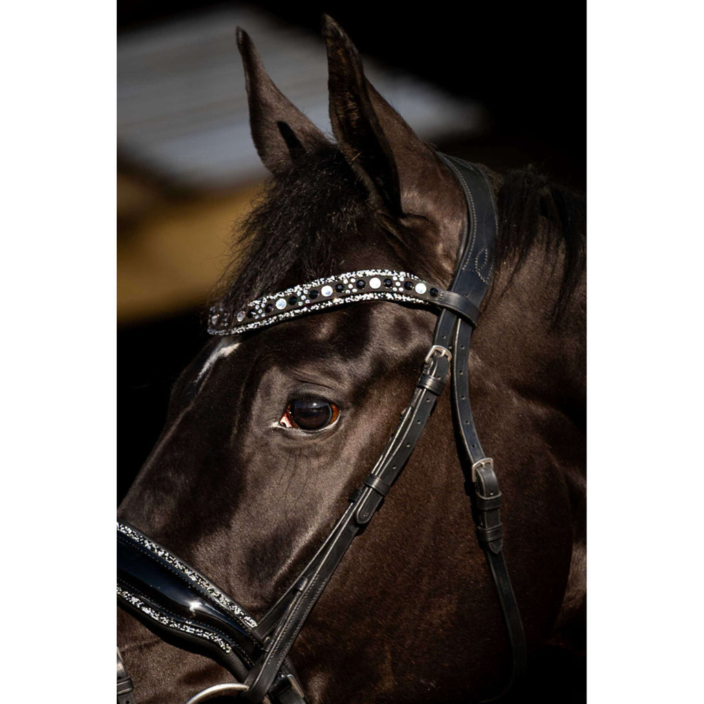 HB Hoofdstel Black River Zwart