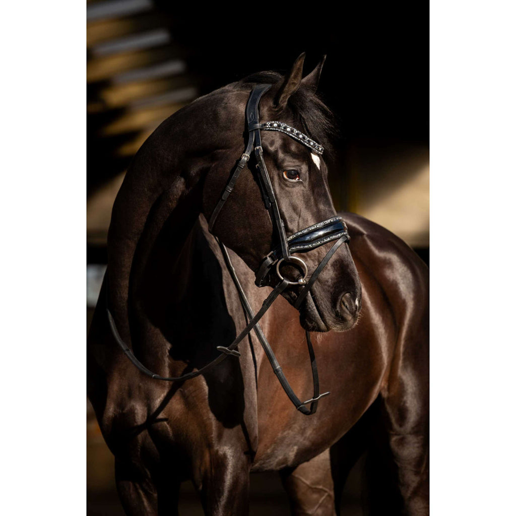 HB Hoofdstel Black River Zwart