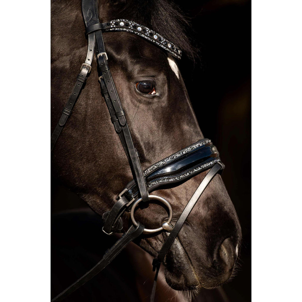 HB Hoofdstel Black River Zwart