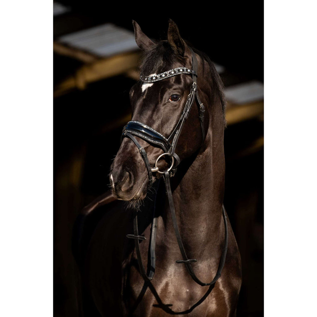 HB Hoofdstel Black River Zwart