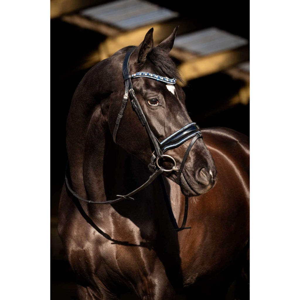 HB Hoofdstel Blue Ocean Zwart