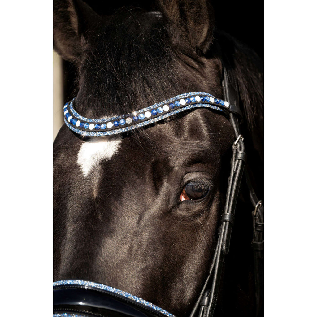 HB Hoofdstel Blue Ocean Zwart