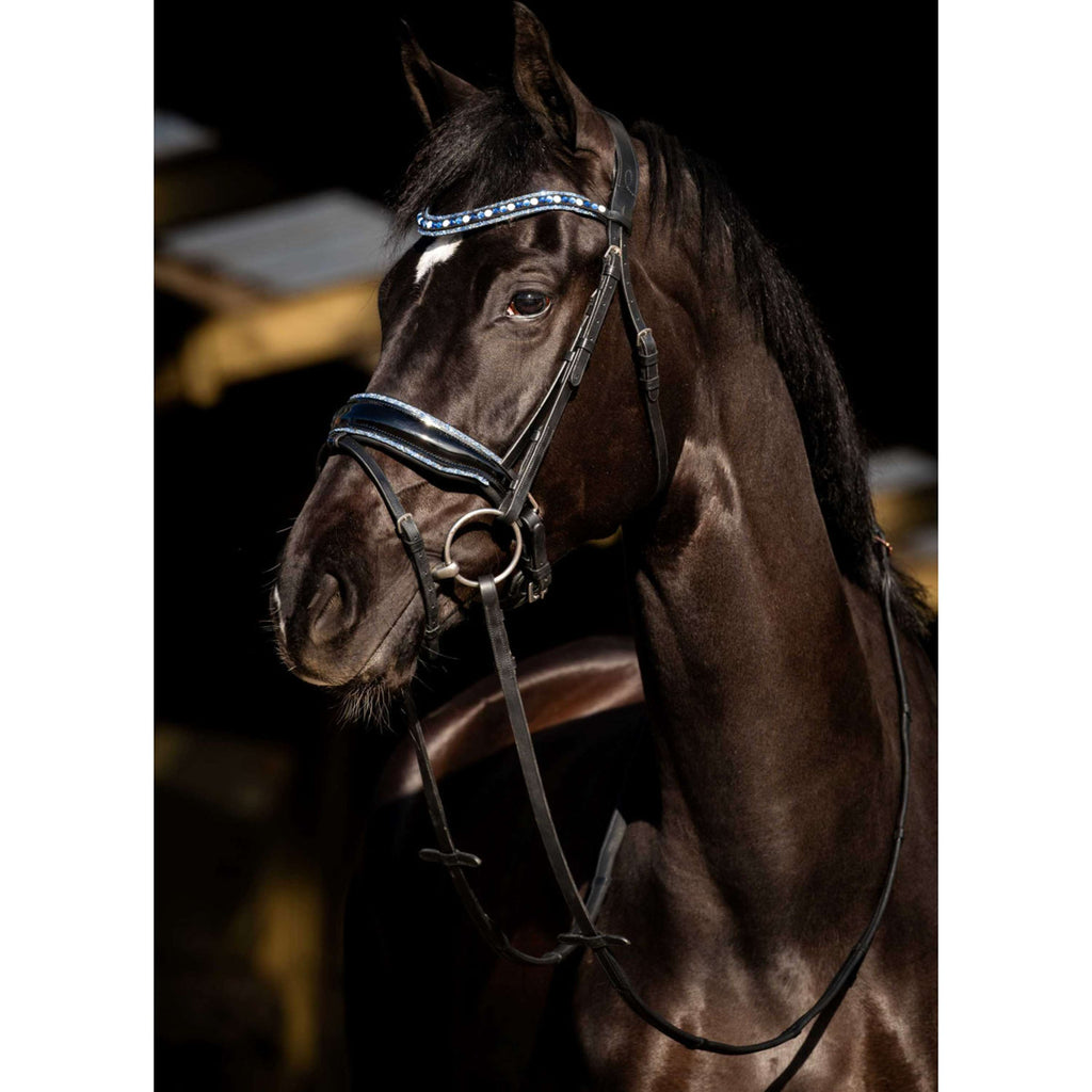 HB Hoofdstel Blue Ocean Zwart