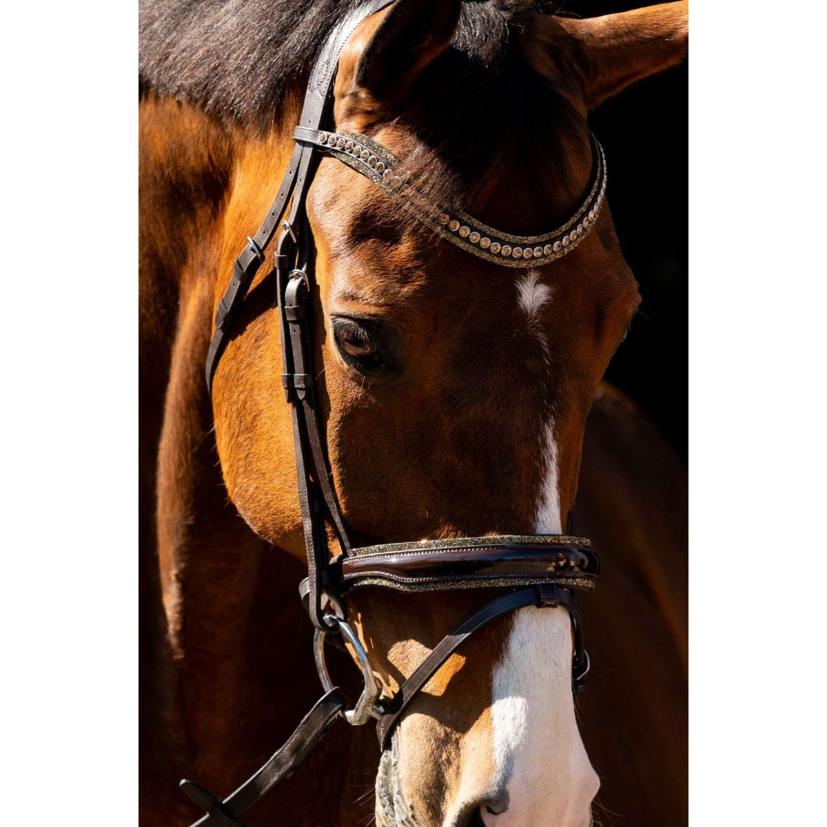 HB Hoofdstel Jump Rocky Glitter Bruin