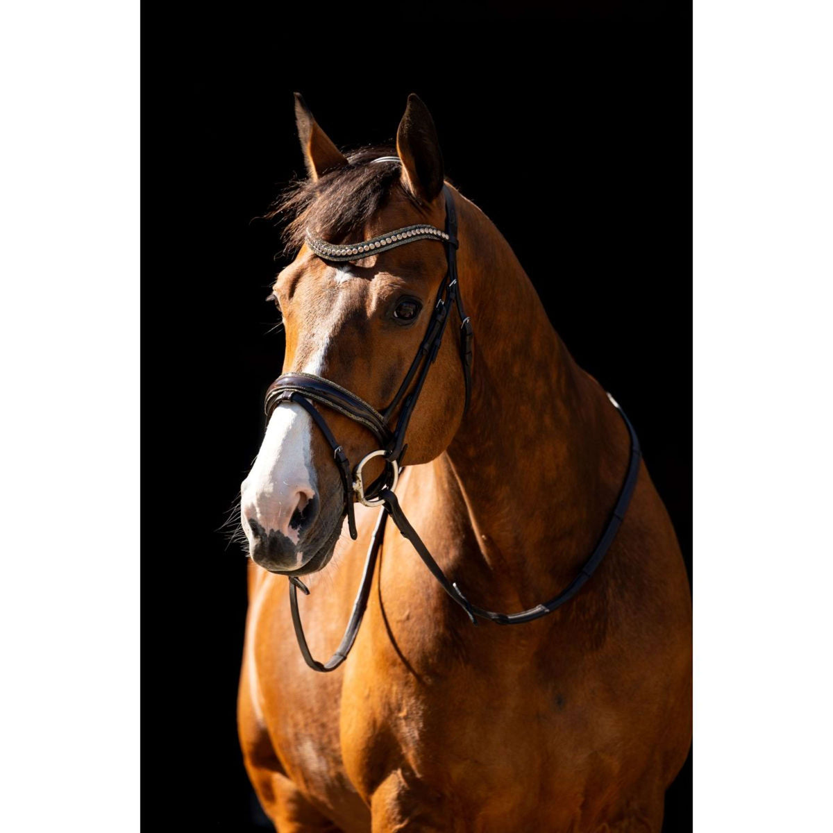 HB Hoofdstel Jump Rocky Glitter Bruin