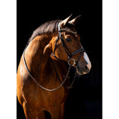 HB Hoofdstel Jump Rocky Glitter Bruin