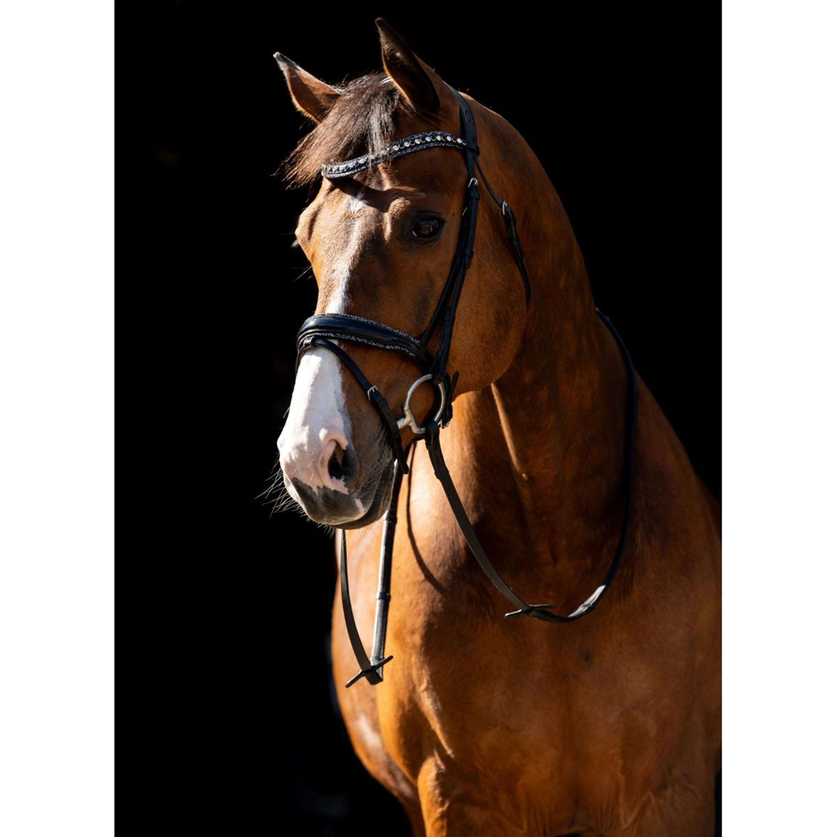 HB Hoofdstel Jump Rocky Glitter/Zwart